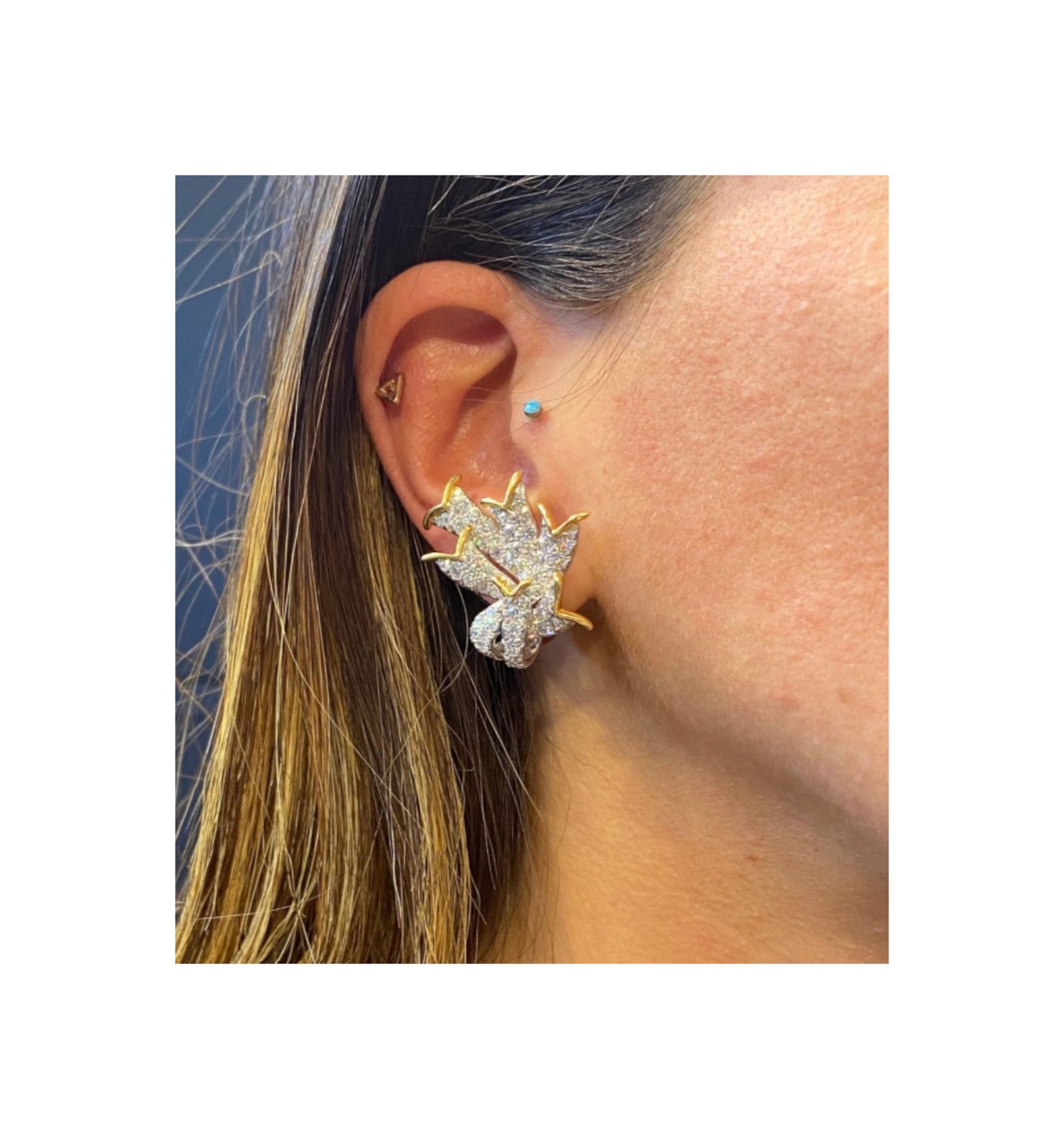 Jean Schlumberger for Tiffany & Co. Diamond Earrings – Joseph