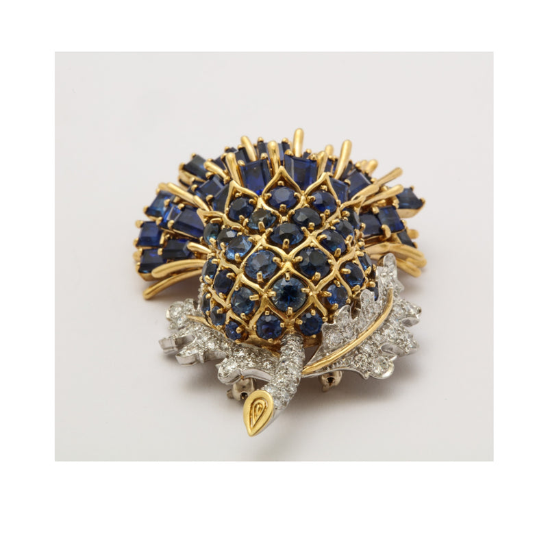 Black Star and Frost Sapphire Thistle Brooch