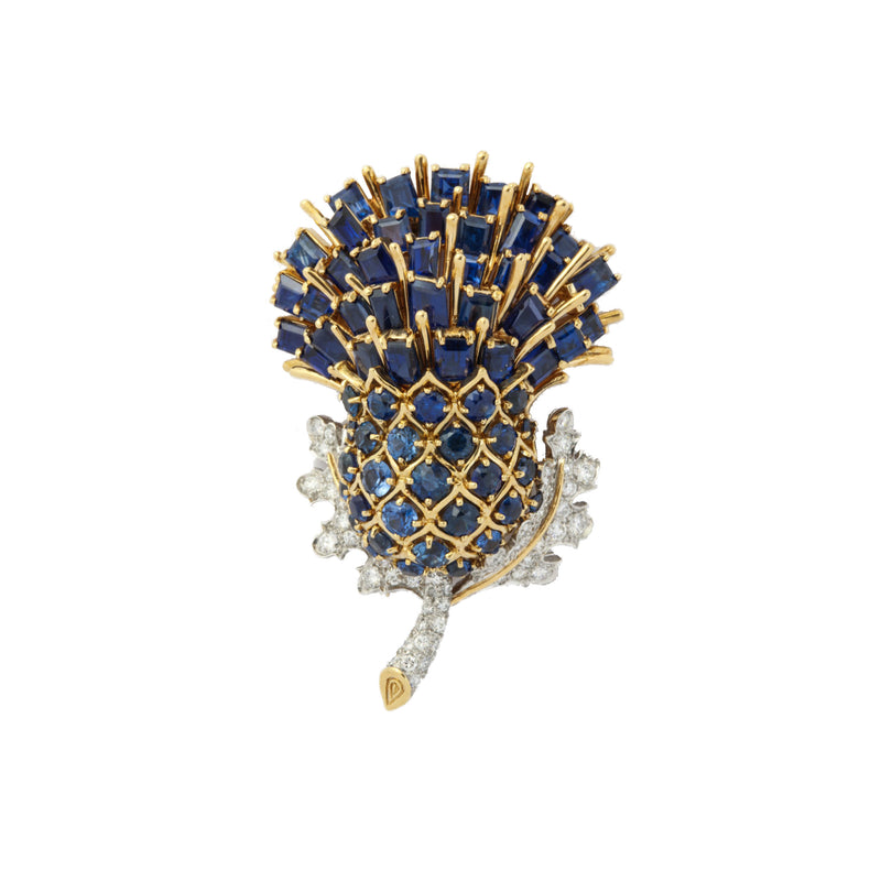 Black Star and Frost Sapphire Thistle Brooch